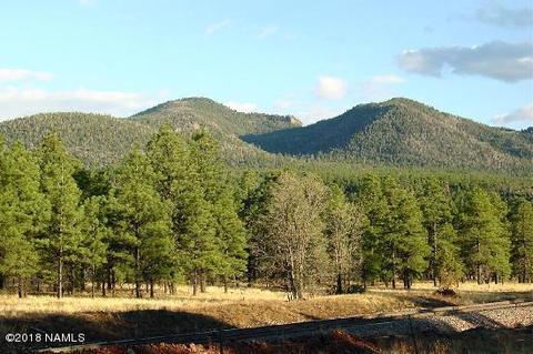 675 Brookline Loop, Williams, AZ 86046 photo 18