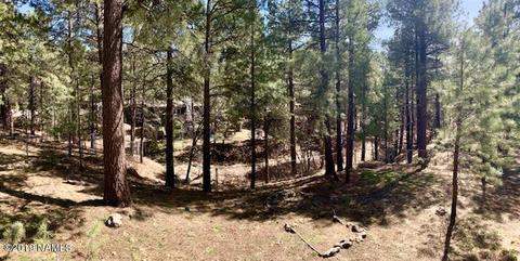 4035 Canyon Loop, Flagstaff, AZ 86005 photo 13