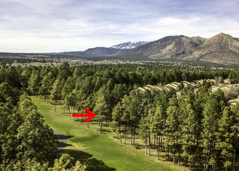 4711 E Double Eagle Way, Flagstaff, AZ 86004 photo 26