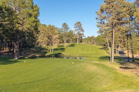 5201 E Hickory Dr, Flagstaff, AZ 86004 photo 30
