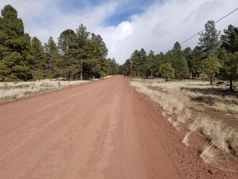 3748 Pine Tree Dr, Williams, AZ 86046 photo 10
