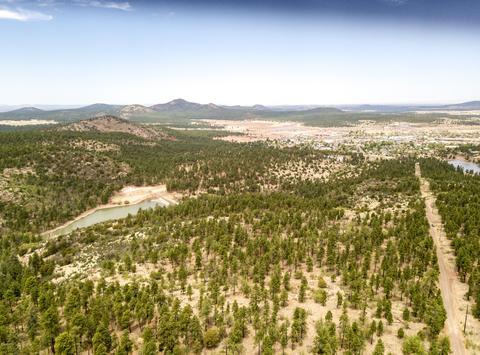 1688 Canyon View Loop, Williams, AZ 86046 photo 11
