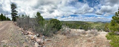 1688 Canyon View Loop, Williams, AZ 86046 photo 6