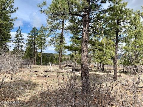 1688 Canyon View Loop, Williams, AZ 86046 photo 13