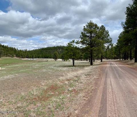 1688 Canyon View Loop, Williams, AZ 86046 photo 14