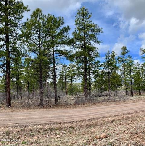 1688 Canyon View Loop, Williams, AZ 86046 photo 4