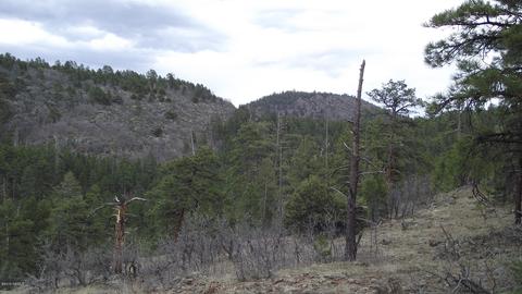 1676 Canyon View Loop, Williams, AZ 86046 photo 6