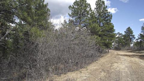 1676 Canyon View Loop, Williams, AZ 86046 photo 10