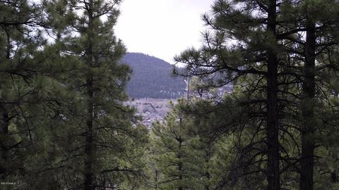 1676 Canyon View Loop, Williams, AZ 86046 photo 4