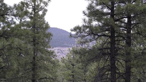 1676 Canyon View Loop, Williams, AZ 86046 photo 1