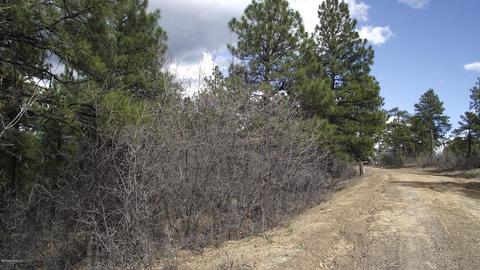 1676 Canyon View Loop, Williams, AZ 86046 photo 9