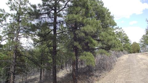 1676 Canyon View Loop, Williams, AZ 86046 photo 8