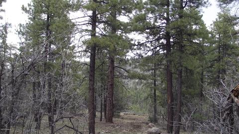 1676 Canyon View Loop, Williams, AZ 86046 photo 5