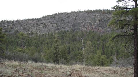 1676 Canyon View Loop, Williams, AZ 86046 photo 7