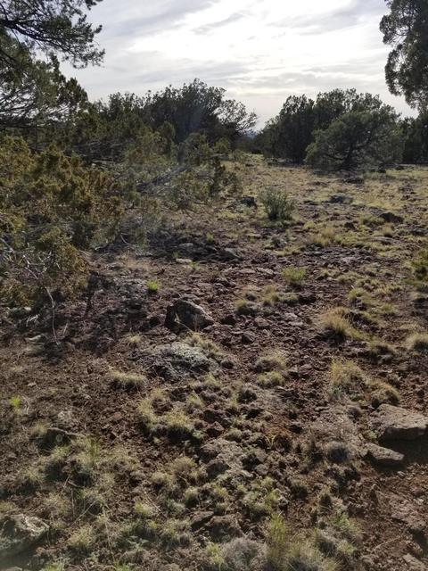 837 E Coconino Trl, Williams, AZ 86046 photo 7