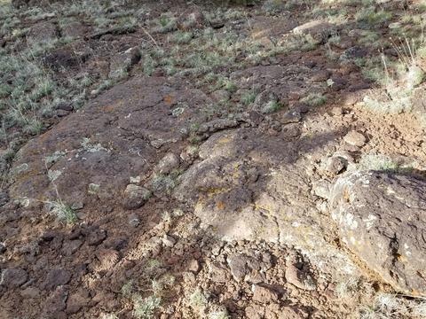 837 E Coconino Trl, Williams, AZ 86046 photo 12
