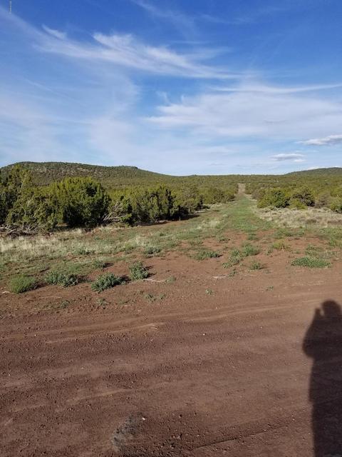 837 E Coconino Trl, Williams, AZ 86046 photo 4