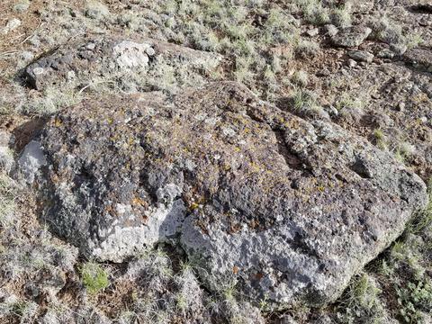 837 E Coconino Trl, Williams, AZ 86046 photo 11