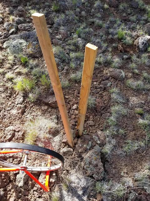 837 E Coconino Trl, Williams, AZ 86046 photo 5