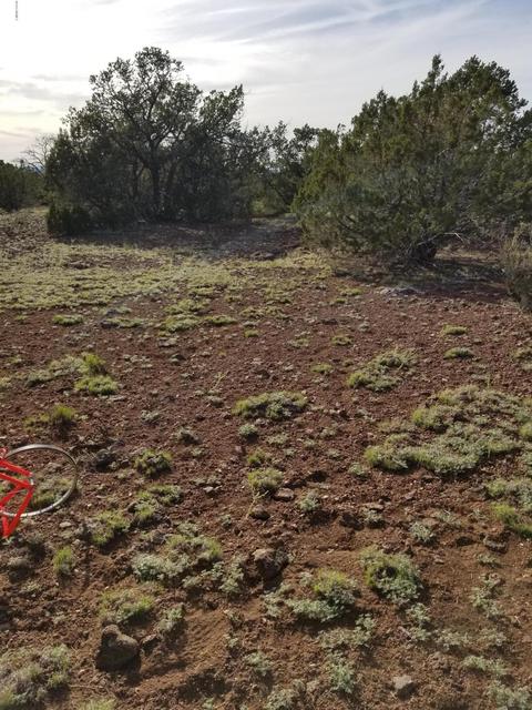 837 E Coconino Trl, Williams, AZ 86046 photo 9