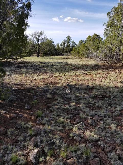 837 E Coconino Trl, Williams, AZ 86046 photo 6