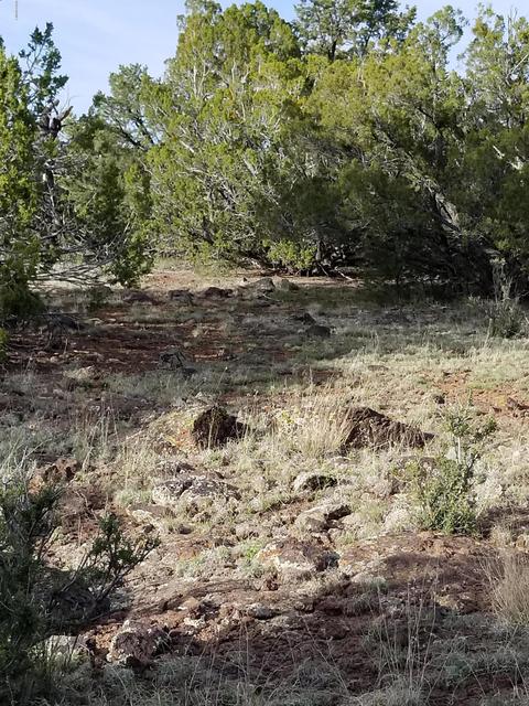 837 E Coconino Trl, Williams, AZ 86046 photo 15