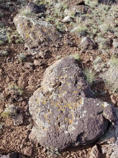 837 E Coconino Trl, Williams, AZ 86046 photo 13