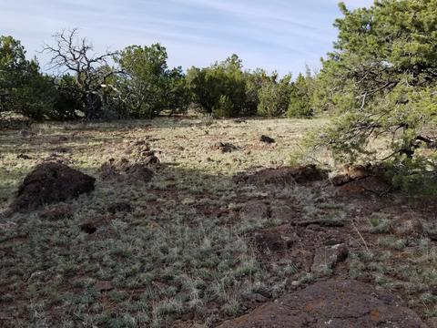 837 E Coconino Trl, Williams, AZ 86046 photo 1