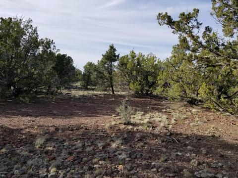 733 E Coconino Trl, Williams, AZ 86046 photo 9