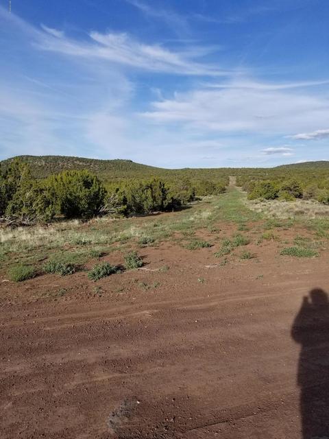 733 E Coconino Trl, Williams, AZ 86046 photo 4
