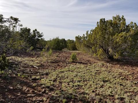 733 E Coconino Trl, Williams, AZ 86046 photo 7