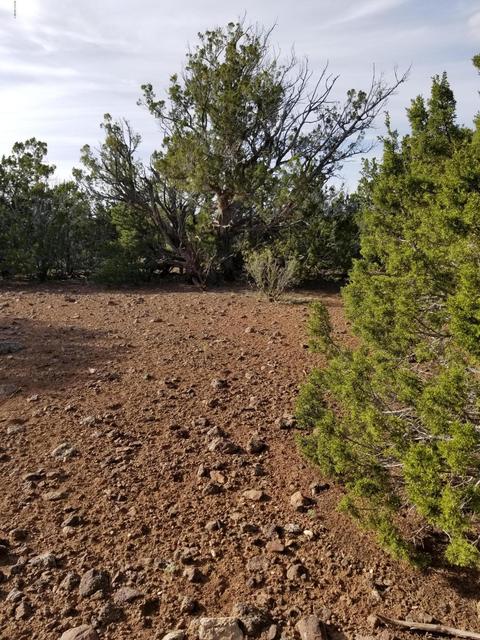 733 E Coconino Trl, Williams, AZ 86046 photo 11