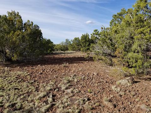 733 E Coconino Trl, Williams, AZ 86046 photo 1