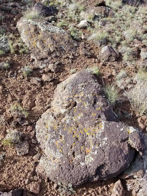 733 E Coconino Trl, Williams, AZ 86046 photo 16