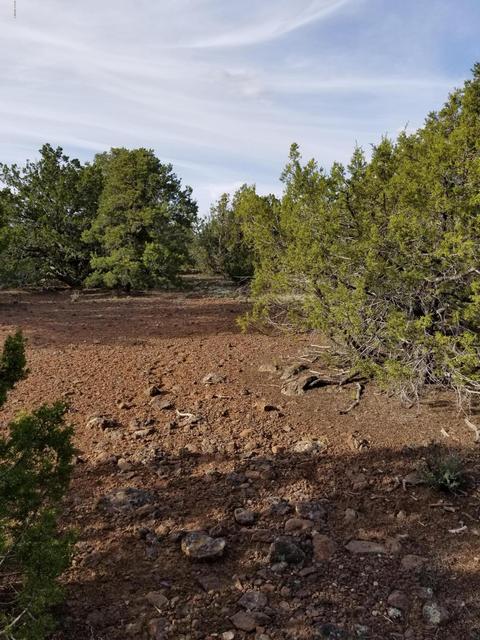 733 E Coconino Trl, Williams, AZ 86046 photo 12
