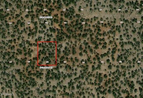 733 E Coconino Trl, Williams, AZ 86046 photo 20