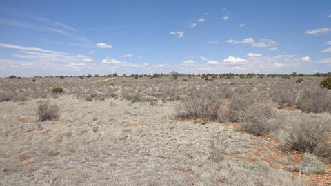 1807 E Dirty First St, Valle, AZ 86046 photo 1
