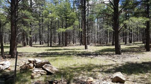 3488 E Pine Top Dr, Williams, AZ 86046 photo 13