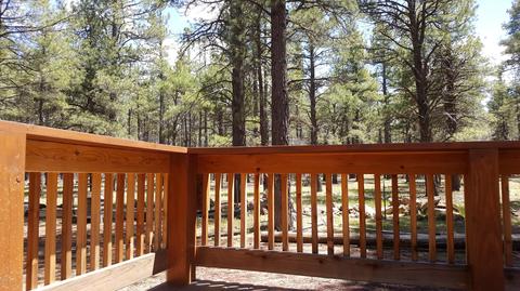3488 E Pine Top Dr, Williams, AZ 86046 photo 9