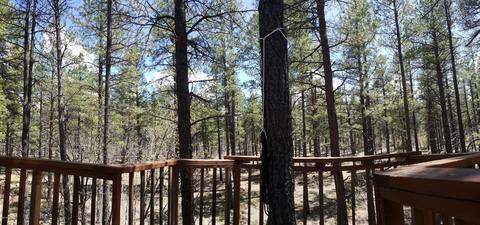3488 E Pine Top Dr, Williams, AZ 86046 photo 18