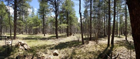3488 E Pine Top Dr, Williams, AZ 86046 photo 14