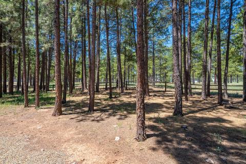 4820 E Mount Pleasant Dr, Flagstaff, AZ 86004 photo 34