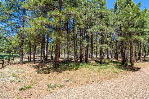 4820 E Mount Pleasant Dr, Flagstaff, AZ 86004 photo 33
