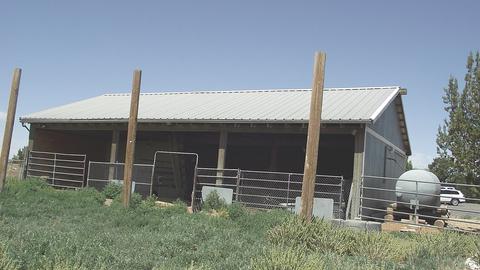 46709 N Tanner Rd, Ash Fork, AZ 86320 photo 14