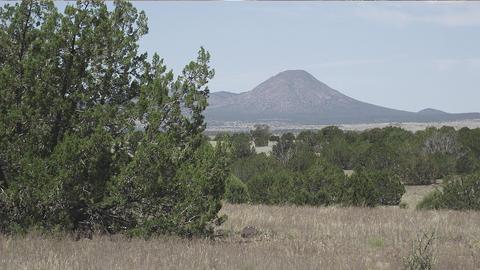 46709 N Tanner Rd, Ash Fork, AZ 86320 photo 9