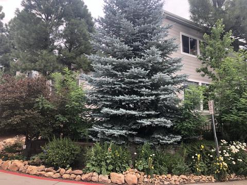 4396 E Savannah Cir, Flagstaff, AZ 86004 photo 48