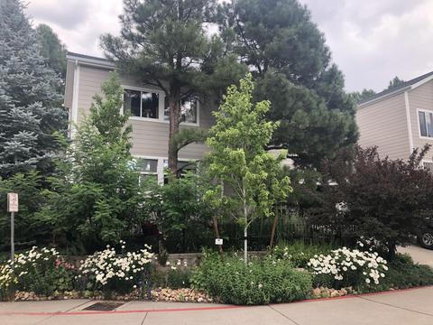 4396 E Savannah Cir, Flagstaff, AZ 86004 photo 1