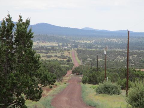2980 E Calico Ave, Williams, AZ 86046 photo 3