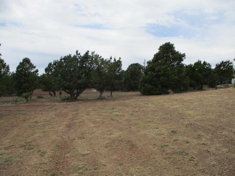 2980 E Calico Ave, Williams, AZ 86046 photo 30
