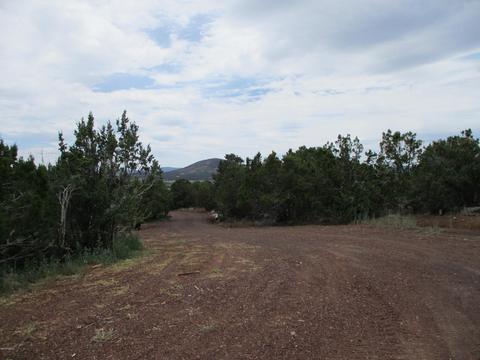 2980 E Calico Ave, Williams, AZ 86046 photo 25